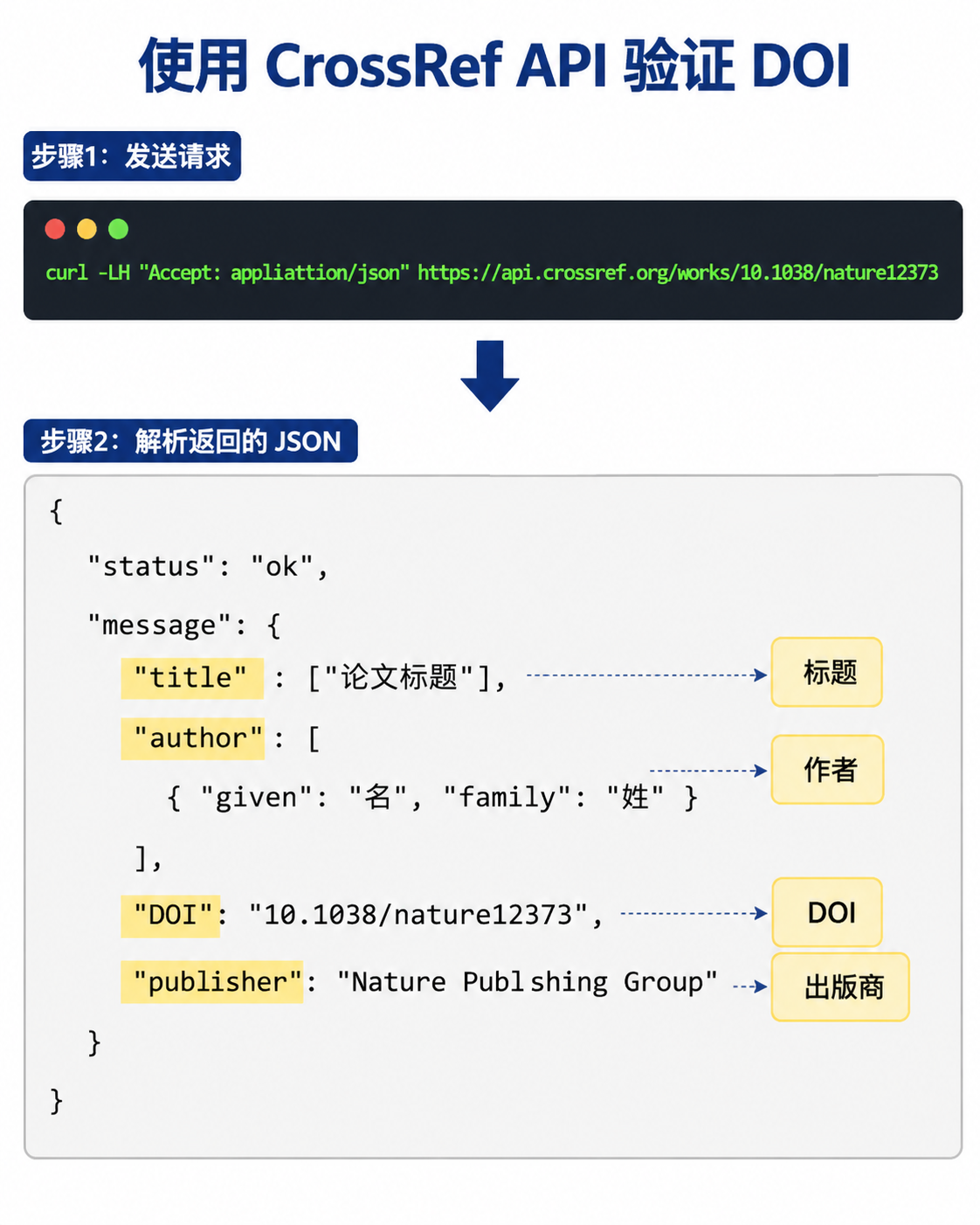 使用CrossRef API验证DOI的流程示意图,包括curl命令和返回的JSON数据,高亮标题和作者字段。